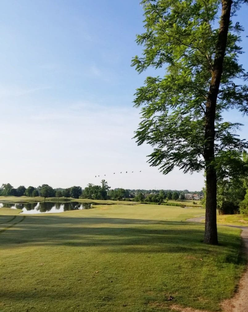 harvest point living kings creek golf club spring hill tn 2 Harvest